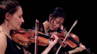 Schubert String Quartet No13 in A Minor D804 quotRosamundequot 1st mov [upl. by Narok718]