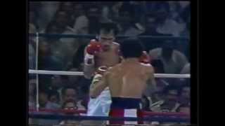 Wilfredo Gomez vs Carlos Zarate full fight HD [upl. by Keare]