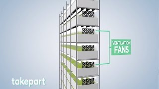 Vertical Farms  Design and Innovation  TakePart [upl. by Atinaujnas517]