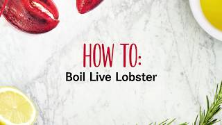 How to Boil Live Lobsters [upl. by Narayan]