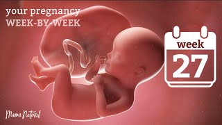 27 Weeks Pregnant  Natural Pregnancy WeekByWeek [upl. by Massie]