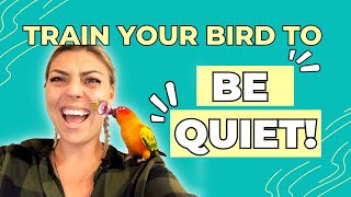 How to get your Sun Conure to BE QUIET [upl. by Consalve402]