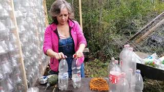 Como emsambler las botellas para hacer el invernadero Parte I [upl. by Harilda]