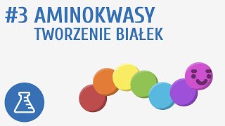 Aminokwasy tworzenie białek 3  Biologiczne związki organiczne [upl. by Marillin9]