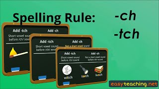 Words Ending ch and tch  Spelling Rule  EasyTeaching [upl. by Houlberg781]