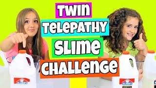 Twin Telepathy Slime Challenge [upl. by Harte]