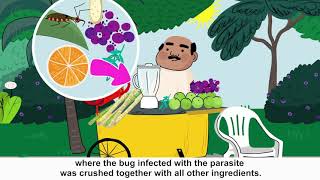 How Chagas disease is transmitted [upl. by Grew]