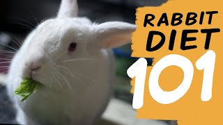 EVERYTHING You Need To Know About a Rabbit Diet [upl. by Hametaf]