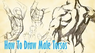 How To Draw Male Torsos [upl. by Ynos108]