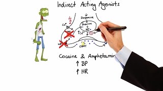 Pharmacology  ADRENERGIC RECEPTORS amp AGONISTS MADE EASY [upl. by Selia]