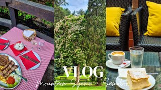 VLOGtrip to mountain Sljeme Zagreb amp Samobor lunchdessertcoffeeThe famous cream cake Kremšnite [upl. by Cowen]