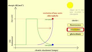 Chlorophylle fluorescence résonance et photochimie [upl. by Krahmer206]