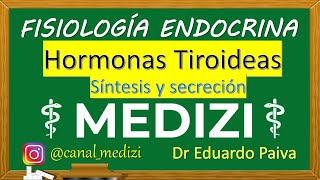 Fisiología Endocrina  Hormonas Tiroideas T3 T4  Síntesis Secreción Parte 13 IGdoctorpaiva [upl. by Rambert908]