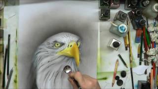 Airbrush Weißkopfadler Teil 3 [upl. by Analed949]