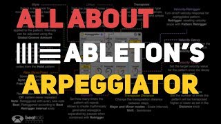 All About Abletons Arpeggiator [upl. by Grantham]