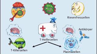 Wie funktioniert unser Immunsystem [upl. by Ellingston481]