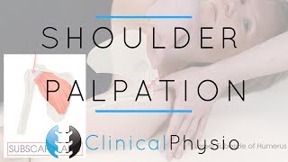 Shoulder Palpation  Clinical Physio Premium [upl. by Eelitan174]