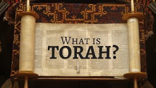 What is Torah [upl. by Anauqed]