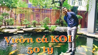 Tham Quan Showroom Cá KOI 50 Tỷ Tại Khu Đô Thị Việt Hưng  Long Biên  HOUSEE [upl. by Ayeka]