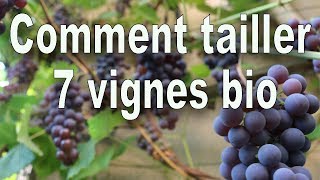 Vignes Comment tailler 7 vignes bio en 20 minutes [upl. by Hamann]