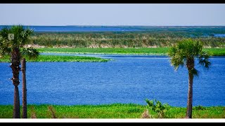 Driving along Lake Okeechobee in Florida [upl. by Enert]