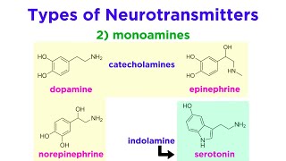 Neurotransmitters Type Structure and Function [upl. by Blumenthal]