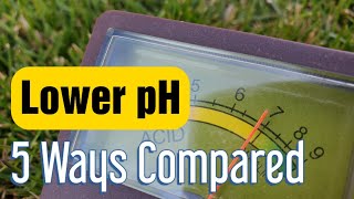 Lower Soil pH In The Lawn 5 Ways To Get It More Acidic [upl. by Lenahc]