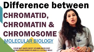 Difference Between CHROMATIN CHROMATID amp CHROMOSOME Molecular Biology NEET CSIRNET IITJAM GATE DBT [upl. by Sperry]