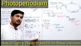 Photoperiodism class 12  photoperiodism in plants  Role of Phytochromes in plants flowering [upl. by Auqinaj]