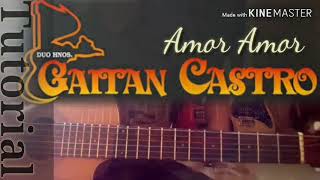 AMOR AMOR  GAYTAN CASTRO Tutorial  Punteo Completo [upl. by Lilia]