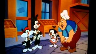 Animaniacs ep56 Schnitzelbank [upl. by Waldack]