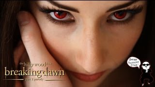 Breaking Dawn Part 2 Parody by The Hillywood Show® [upl. by Aihsar]