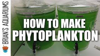 How to make Phytoplankton [upl. by Ecirtak299]