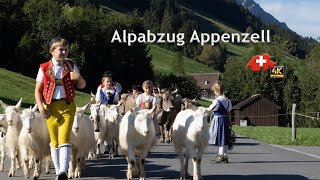 Alpabzug Appenzell Alpine Descent [upl. by Hube]