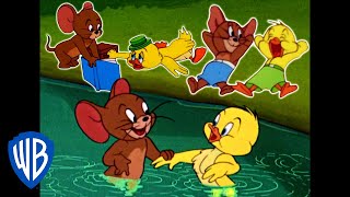 Tom amp Jerry  Best of Jerry and Little Quacker  Classic Cartoon Compilation  WB Kids [upl. by Edithe]