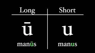 The Latin Alphabet  Vowel Pronunciation [upl. by Radke]