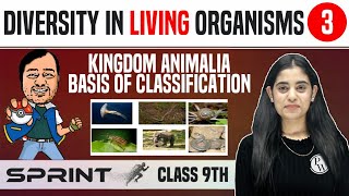 Diversity in Living Organisms 03  Kingdom Animalia  Basis of Classification  Class 9  NCERT [upl. by Micah]