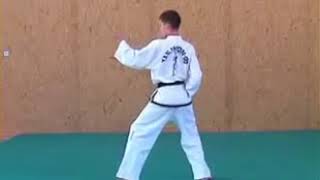 ITF Taekwondo Patterns 124  Taekwondo [upl. by Asserac113]