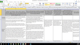 How to Create a Literature Matrix Excel [upl. by Renrut]