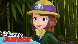 Sofia the First  Stronger Than You Know  Official Disney Junior Africa [upl. by Reh]