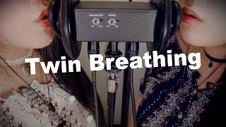 ASMR Twin Breathing amp Ear Blowing with Inhaling 😂 [upl. by Anai]