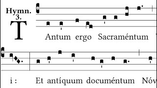 Tantum Ergo Sacramentum  Gregorian Chant [upl. by Ilohcin]