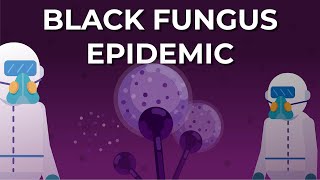 What is Black Fungus or Mucormycosis [upl. by Hbahsur]