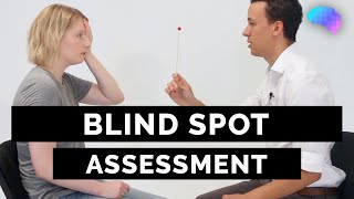 Blind Spot Assessment  OSCE Guide  UKMLA  CPSA  PLAB 2 [upl. by Stephanus30]