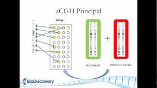 Basic Principles of Array CGH [upl. by Mathi]