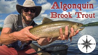 Algonquin Park Brook Trout Fishing  3 Day Solo Canoe Trip [upl. by Bethezel]