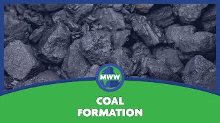 Coal Formation [upl. by Kesia274]