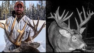 Saskatchewan Whitetail Hunt [upl. by Stromberg]