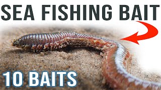 Sea Fishing Bait for Beginners [upl. by Eneloc]