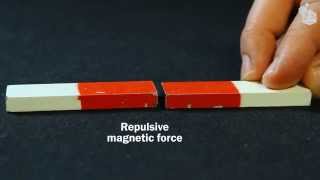 Video Lab Magnetic forces [upl. by Zwart]